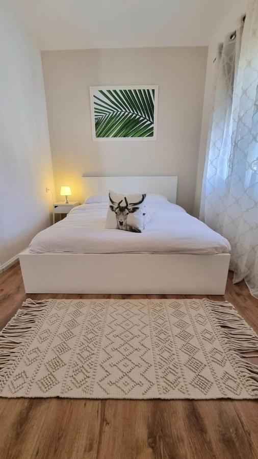 Villa Gal Eilat Luaran gambar